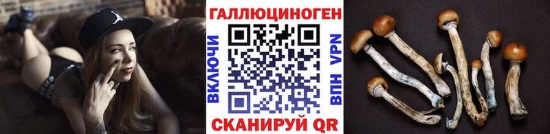 Псилоцибиновые грибы Psilocybe где купить наркотик Прохладный