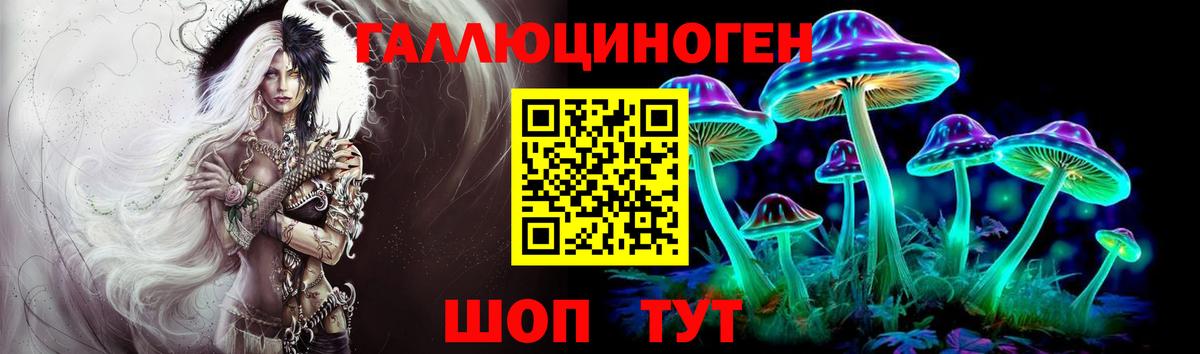 Галлюциногенные грибы Cubensis  Вход с VPN  Прохладный 