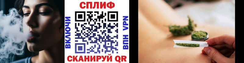 Бошки Шишки сатива Прохладный